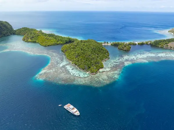 美丽的石灰岩岛屿Penemu 与珊瑚礁相连 从Raja Ampat的热带海景中升起 印度尼西亚的这一地区因其海洋生物多样性高而被称为珊瑚三角的中心 免版税图库照片