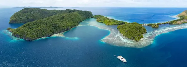 美丽的石灰岩岛屿Penemu 与珊瑚礁相连 从Raja Ampat的热带海景中升起 印度尼西亚的这一地区因其海洋生物多样性高而被称为珊瑚三角的中心 图库图片