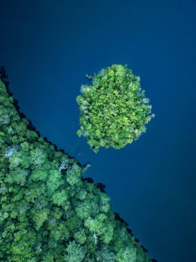 Endonezya 'nın Raja Ampat kentindeki bir deniz gölünün sakin suları arasında küçük, ormanla kaplı bir ada bulunur. Bu güzel, tropikal bölge olağanüstü deniz biyolojik çeşitliliğini destekler..