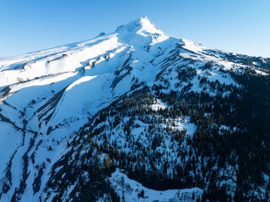 Sabahın erken saatleri Oregon 'daki Hood Dağı' nı aydınlatır. Cascade Dağları 'nın bir parçası olan bu manzaralı stratovolcano genellikle karla kaplıdır ve Portland şehrinden çok uzakta değildir..