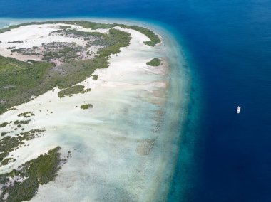 Çeşitli mercan resifleri Endonezya 'nın Tanimbar Adaları' ndaki Pulau Selu adlı manzaralı ve uzak bir adaya sahiptir. Bu tropikal alan güzel mercan resifleri ve geniş bir balık çeşitliliği barındırır..