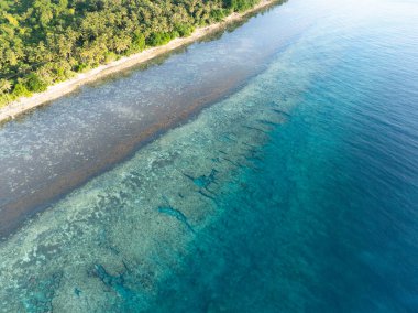 Sakin ve berrak sular Endonezya 'nın unutulmuş adalarındaki uzak bir adanın manzaralı sahillerini yıkıyor. Bu güzel bölge olağanüstü deniz biyolojik çeşitliliğine ev sahipliği yapıyor..