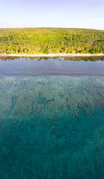 stock image Calm, clear water bathes the scenic coast of a remote island in the Forgotten Islands of eastern Indonesia. This beautiful region harbors extraordinary marine biodiversity.