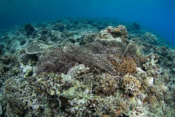 stock image A discarded fishing net is left on a coral reef on a remote island in the Forgotten Islands of Indonesia. This beautiful region harbors extraordinary marine biodiversity.