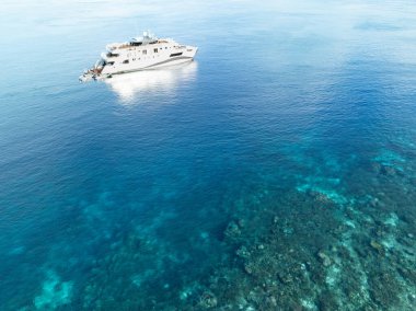 Endonezya 'nın güzel Pantar Boğazı' nda canlı bir dalış botu demirler. Bu alan Mercan Üçgeni 'nin bir parçasıdır ve olağanüstü çeşitlilikteki mercan resiflerine ev sahipliği yapar..