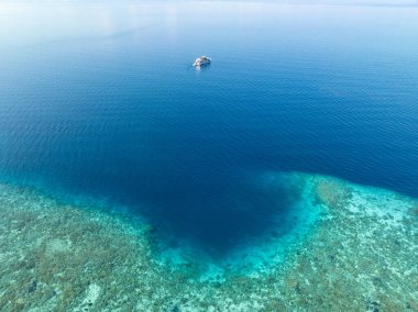 Flores, Endonezya açıklarında güzel ve sağlıklı bir mercan resifi volkanik bir adayı çevrelemektedir. Bu bölge, Küçük Sunda Adaları 'nda yüksek deniz biyolojik çeşitliliği ile bilinir..
