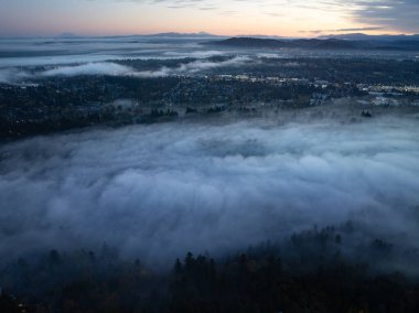 Sabahın erken saatlerinde sis, Batı Linn, Oregon 'daki Willamette Vadisi' ne doğru sürükleniyor. Bu manzaralı, ormanlık alan, Kuzeybatı Pasifik şehri Portland 'ın hemen güneyinde yer alır..