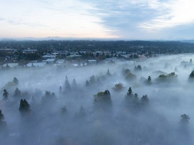 Early morning fog drifts through the Willamette Valley in West Linn, Oregon. This scenic, forested area lies just south of the Pacific Northwest city of Portland. clipart