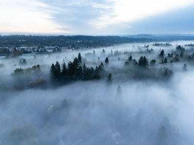 Sabahın erken saatlerinde sis, Batı Linn, Oregon 'daki Willamette Vadisi' ne doğru sürükleniyor. Bu manzaralı, ormanlık alan, Kuzeybatı Pasifik şehri Portland 'ın hemen güneyinde yer alır..