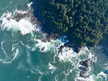 The Pacific Ocean washes against the rocky and rugged coastline of Oregon, not far south of Lincoln City. This part of the Pacific Northwest coast is incredibly scenic and accessed from highway 101. clipart