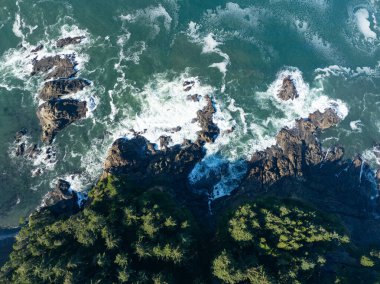 The Pacific Ocean washes against the rocky and rugged coastline of Oregon, not far south of Lincoln City. This part of the Pacific Northwest coast is incredibly scenic and accessed from highway 101. clipart