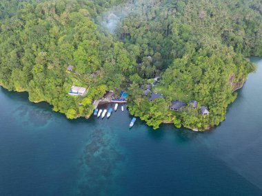 Sağlıklı mercanlar ve deniz ayıları Kuzey Sulawesi 'deki Lembeh Adası' nın kıyısında büyürler. Bu tropikal alan deniz biyolojik çeşitliliğinin bolluğuna ev sahipliği yapar ve dalgıçlar ve şnorkelciler arasında popülerdir..