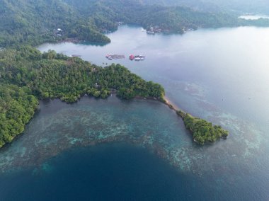 Sağlıklı mercanlar ve deniz ayıları Kuzey Sulawesi 'deki Lembeh Adası' nın kıyısında büyürler. Bu tropikal alan deniz biyolojik çeşitliliğinin bolluğuna ev sahipliği yapar ve dalgıçlar ve şnorkelciler arasında popülerdir..