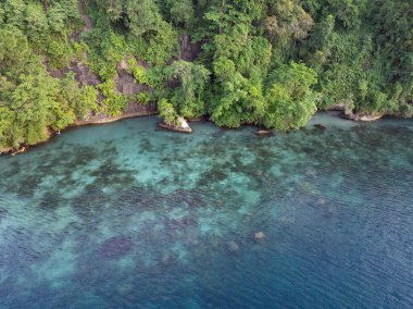Sağlıklı mercanlar ve deniz ayıları Kuzey Sulawesi 'deki Lembeh Adası' nın kıyısında büyürler. Bu tropikal alan deniz biyolojik çeşitliliğinin bolluğuna ev sahipliği yapar ve dalgıçlar ve şnorkelciler arasında popülerdir..