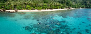 Snorkeller Endonezya 'nın Sulawesi kentinin kuzeyindeki Bangka tropikal adasını çevreleyen bir mercan resifini keşfediyorlar. Bu alan Mercan Üçgeni 'nin bir parçası ve çok yüksek deniz biyolojik çeşitliliği barındırıyor..