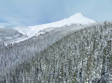 Bir kar örtüsü Dağ 'ı çevreleyen vahşi ve geniş ormanları kaplıyor. Hood, Oregon. Kuzeybatı Pasifik manzarası Portland 'ın hareketli şehrinden sadece bir saat uzaklıkta..