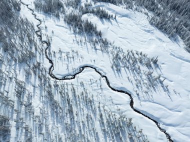 A blanket of snow covers the wild landscape at White River, near Mt. Hood, Oregon. This scenic Pacific Northwest area is only an hour's drive from the bustling city of Portland. clipart