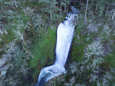 The spectacular Bridal Veil Falls flows through a healthy forest in the Columbia River Gorge National Scenic Area, Oregon. The gorge, not far from Portland, contains a plethora of scenic waterfalls. clipart