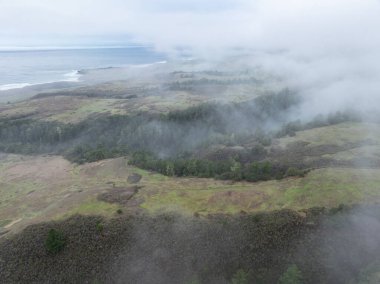 Low, misty clouds drift through the extensive forests of Santa Cruz, California. This beautiful coastal region receives lots of moisture from the ever present marine layer. clipart