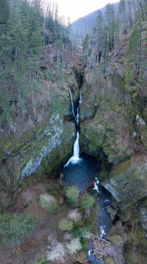 Tanner Creek flows into the scenic Wahclella Falls along the Columbia River Gorge, Oregon. This part of north Oregon is riddled with waterfalls and streams flowing from the Cascade Mountains. clipart