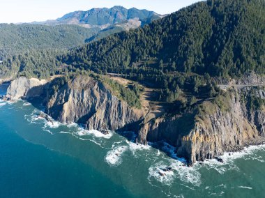 Pasifik Okyanusu, Kuzey Oregon 'un engebeli ama inanılmaz manzaralı kıyı şeridini yıkıyor. Bu güzel bölgeye tüm batı kıyısı boyunca uzanan 101 numaralı otoyol ile ulaşılabilir..