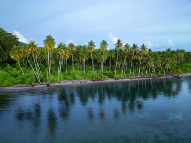 Sabahın erken saatlerinde Hindistan cevizi palmiyeleri, Endonezya 'nın Togian Adaları yakınlarındaki Unauna ekvatoral adasında sakin bir plajı aydınlatır. Bu ada Sulawesi 'nin doğu kıyısında yer almaktadır..