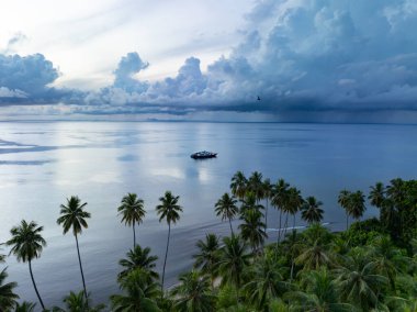 Sabahın erken saatlerinde Hindistan cevizi palmiyeleri, Endonezya 'nın Togian Adaları yakınlarındaki Unauna ekvatoral adasında sakin bir plajı aydınlatır. Bu ada Sulawesi 'nin doğu kıyısında yer almaktadır..