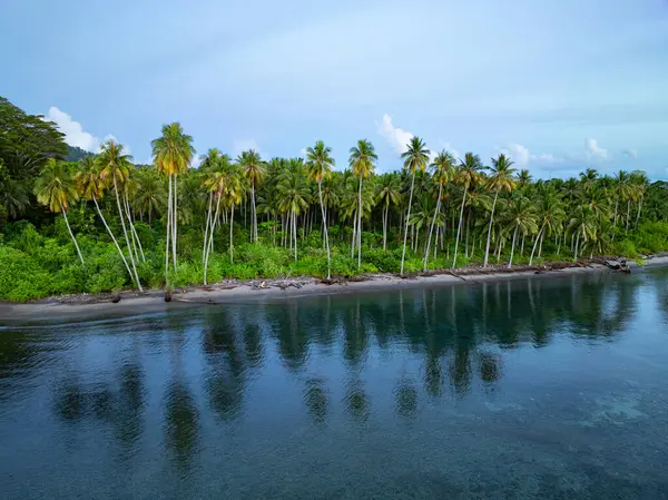 Sabahın erken saatlerinde Hindistan cevizi palmiyeleri, Endonezya 'nın Togian Adaları yakınlarındaki Unauna ekvatoral adasında sakin bir plajı aydınlatır. Bu ada Sulawesi 'nin doğu kıyısında yer almaktadır..
