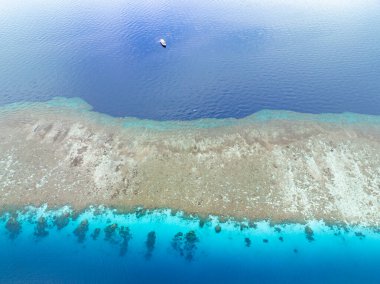 Tomini Körfezi 'nde, Endonezya' nın Togian Adaları 'ndan çok uzak olmayan manzaralı bir mercan adası bulunur. Ekvatorun güneyindeki bu güzel alan inanılmaz bir deniz biyolojik çeşitliliğine ev sahipliği yapıyor..