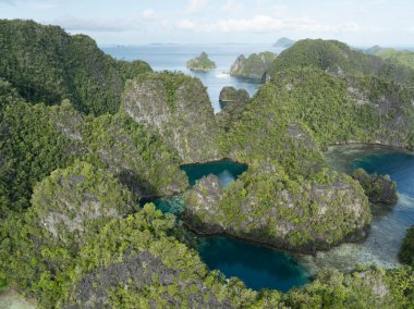 Engebeli kireçtaşı adaları Misool 'un sıcak denizlerinden yükseliyor, Raja Ampat. Bu tropikal bölge, olağanüstü deniz biyolojik çeşitliliği nedeniyle dalgıçlar ve şnorkelliler için popüler bir yerdir..