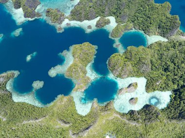Engebeli kireçtaşı adaları Misool 'un sıcak denizlerinden yükseliyor, Raja Ampat. Bu tropikal bölge, olağanüstü deniz biyolojik çeşitliliği nedeniyle dalgıçlar ve şnorkelliler için popüler bir yerdir..