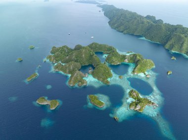 Engebeli kireçtaşı adaları Misool 'un sıcak denizlerinden yükseliyor, Raja Ampat. Bu tropikal bölge, olağanüstü deniz biyolojik çeşitliliği nedeniyle dalgıçlar ve şnorkelliler için popüler bir yerdir..