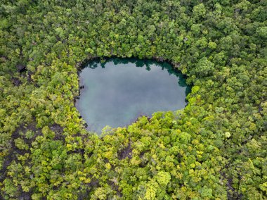 Misool, Raja Ampat 'ın kayalık adalarında küçük, uzak bir deniz gölü bulunur. Tropikal kireçtaşı adalarında deniz gölleri sık sık oluşur..