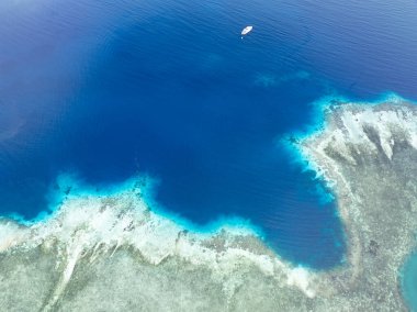 Halmahera, Endonezya yakınlarındaki Garacie Adaları 'nda sağlıklı mercan resifleri ve deniz yosunları. Bu güzel bölge muhteşem bir deniz biyolojik çeşitliliği barındırıyor ve dalmak için popüler bir yer..