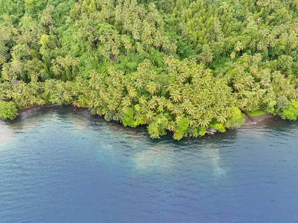 Endonezya, Halmahera yakınlarındaki uzak tropikal bir adanın kıyılarını geniş bir yağmur ormanı kaplar. Bu güzel bölge olağanüstü deniz ve biyolojik çeşitliliğe ev sahipliği yapar..