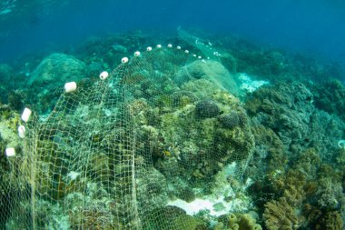 Endonezya 'nın Alor adası yakınlarındaki Pantar Boğazı' ndaki bir mercan resifinin üzerine uzun bir balık ağı örülmüştür. Balıkçılık, Mercan Üçgeni 'nin birçok bölgesinde balık nüfusunu azalttı..