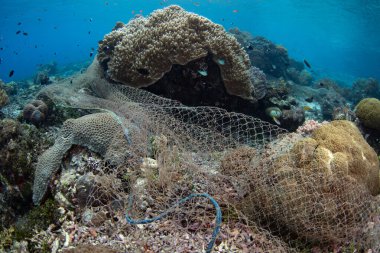 Endonezya 'nın Alor adası yakınlarındaki Pantar Boğazı' ndaki bir mercan resifinin üzerine uzun bir balık ağı örülmüştür. Balıkçılık, Mercan Üçgeni 'nin birçok bölgesinde balık nüfusunu azalttı..