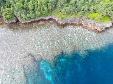 Sağlıklı mercan resifleri Sulawesi açıklarındaki Wakatobi Ulusal Parkı 'nın etrafındaki adaları sarar. Bu bölge, yüksek deniz biyolojik çeşitliliği nedeniyle dalgıçlar ve şnorkelliler için popüler bir yerdir..