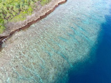 Sağlıklı mercan resifleri Sulawesi açıklarındaki Wakatobi Ulusal Parkı 'nın etrafındaki adaları sarar. Bu bölge, yüksek deniz biyolojik çeşitliliği nedeniyle dalgıçlar ve şnorkelliler için popüler bir yerdir..