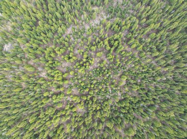 Desparutes Ulusal Ormanı Oregon 'un merkezinde, Bend' e yakın bir yerde bulunur. Bu güzel vahşi doğa yaz boyunca kamp, yürüyüş, bisiklet, balık tutma ve kürek çekme alanlarıyla ünlüdür..