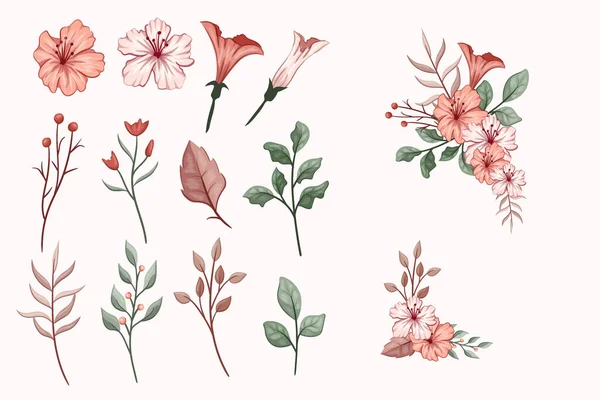 Zestaw Botanicznych Elementów Kwiatowych Kwiat Gałęzie Liście Zioła Dzikie Rośliny — Zdjęcie stockowe