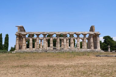 Side view of the Temple of Hera from Unesco World Heritage Site in Paestum. The facility is located in the Campania region of Italy. Ancient Greek culture in southern Italy.                       