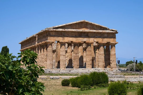 Paestum 'daki Unesco Dünya Mirası Alanından Poseidon Tapınağı' na bakın. Tesis İtalya 'nın Campania bölgesinde yer almaktadır. Güney İtalya 'da antik Yunan kültürü.                               