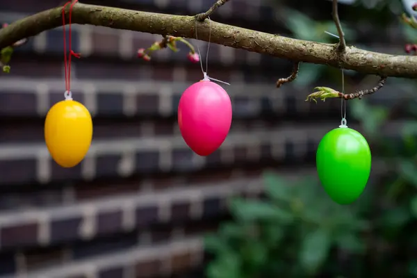 Bir dala asılı üç plastik Paskalya yumurtası. Yumurtalar pembe, yeşil ve sarıdır. Arka plan karanlık. Metin için boşluk.