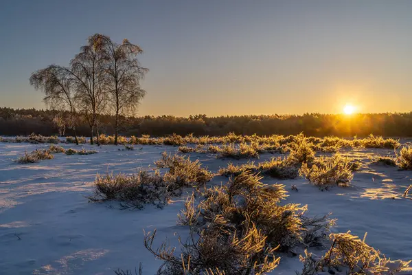 beautiful winter sunset over the frozen lake in the winter forest