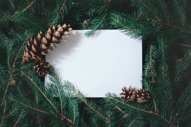 Kartpostallı Noel ağacı dallarından yapılmış yaratıcı bir düzen. Doğa Yeni Yıl Konsepti.