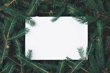 Kağıt kartla Noel ağacı dallarından yapılmış Noel kompozisyonu.