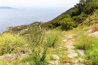 Giglio Porto 'dan Giglio Castello' ya yürüyüş yolu (Mulattiera) Akdeniz ve Isola del Giglio 'daki Arenella plajına bakan Grosseto Toskana Takımadası, İtalya