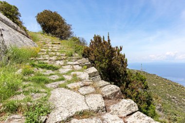 Giglio Porto 'dan Giglio Castello' ya yürüyüş yolu (Mulattiera) Akdeniz ve Isola del Giglio 'daki Arenella plajına bakan Grosseto Toskana Takımadası, İtalya