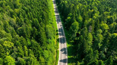 Yoğun Yeşil Orman 'dan geçen yolun hava görüntüsü. Yoğun yeşil bir ormanı kesen bir yolun havadan bakış açısı, uzun ağaçlar yolun her iki tarafında da doğal bir tepe örtüsü oluşturuyor.